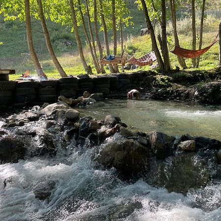 River Side Svaneti 메스티아 외부 사진