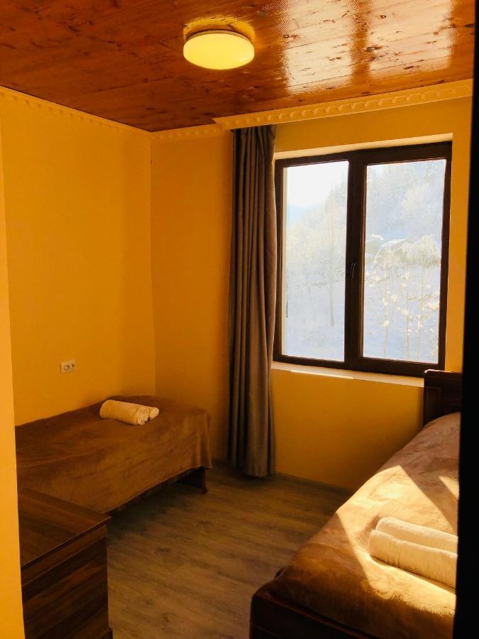 River Side Svaneti 메스티아 외부 사진