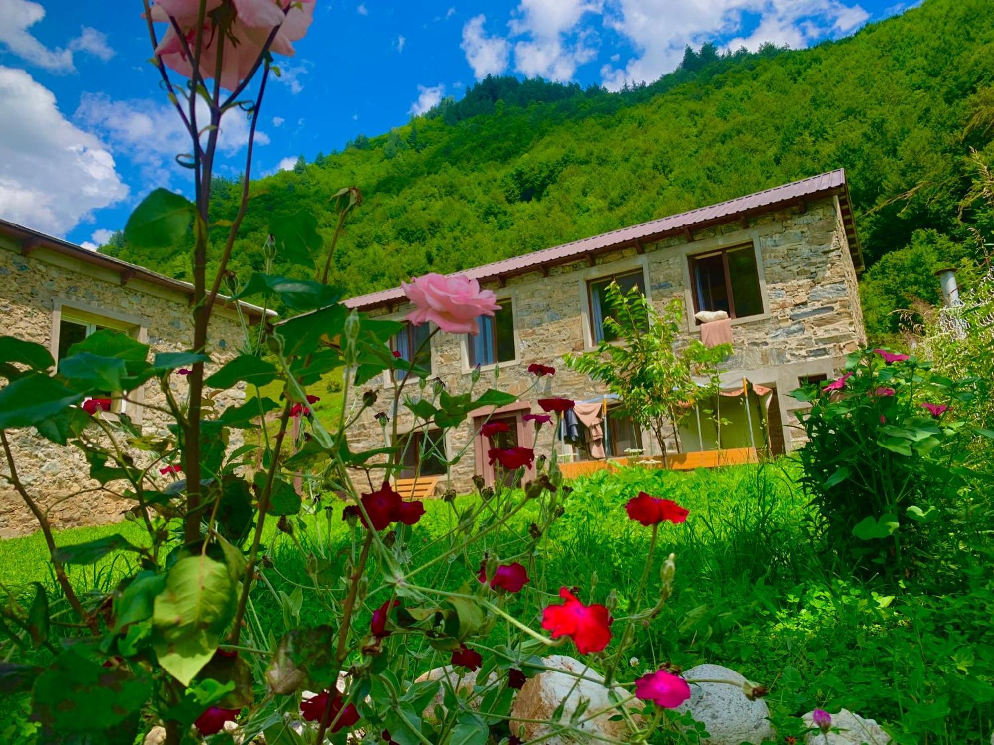 River Side Svaneti 메스티아 외부 사진
