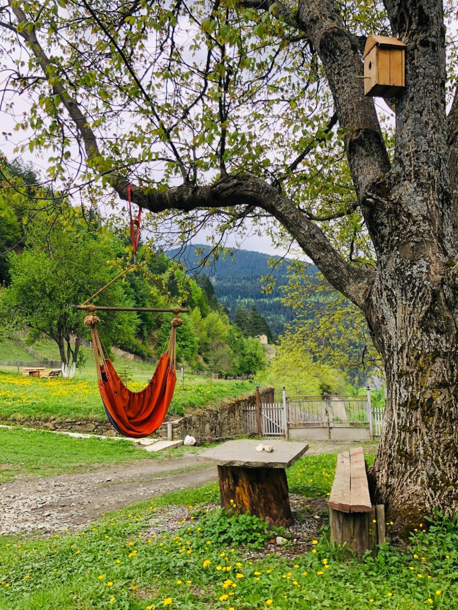 River Side Svaneti 메스티아 외부 사진