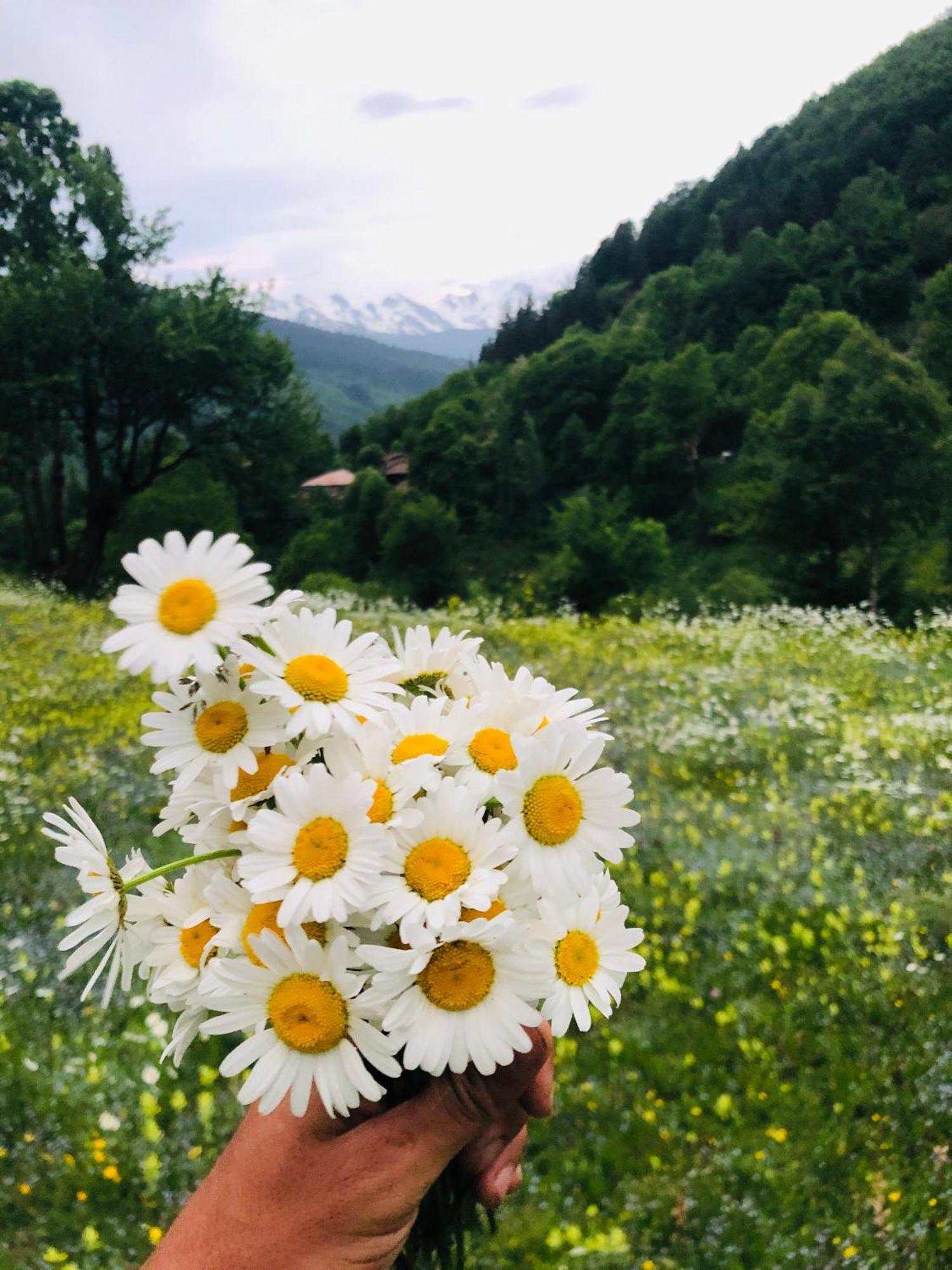River Side Svaneti 메스티아 외부 사진